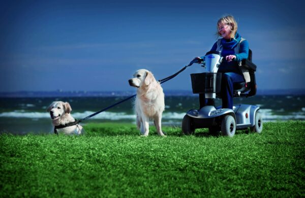 Vrouw met scooter en haar 2 golden zee